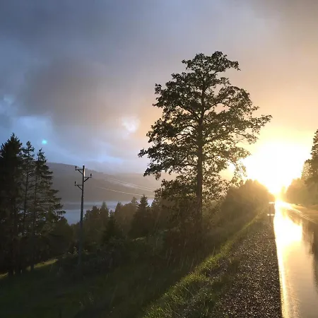 Romantisches Schwarzwaldhaus *