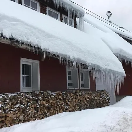 Romantisches Schwarzwaldhaus *