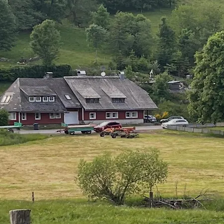 Romantisches Schwarzwaldhaus * Äule