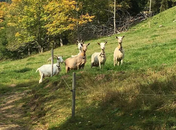 Romantisches Schwarzwaldhaus Casa de Férias